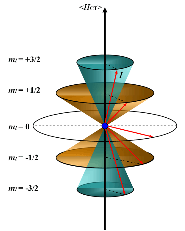 Рис. 47. Схематическое изображение Ларморовой прецессии ядерного магнитного момента вокруг направления магнитного поля (для I = 3/2).